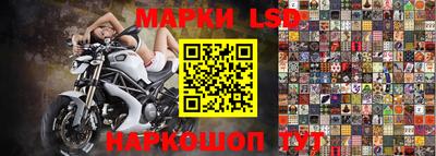 индика Новокубанск