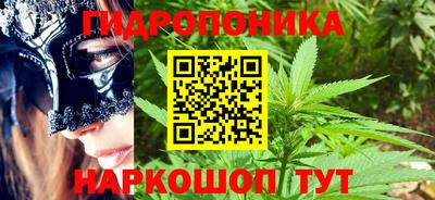 бошки Новодвинск