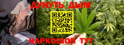 индика Новокубанск