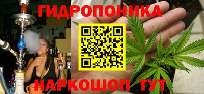 apvp Новозыбков